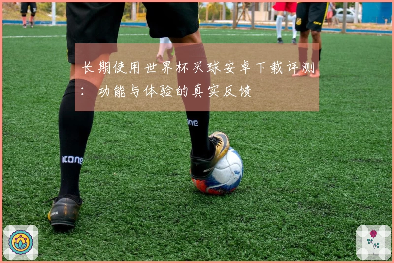 长期使用世界杯买球安卓下载评测：功能与体验的真实反馈