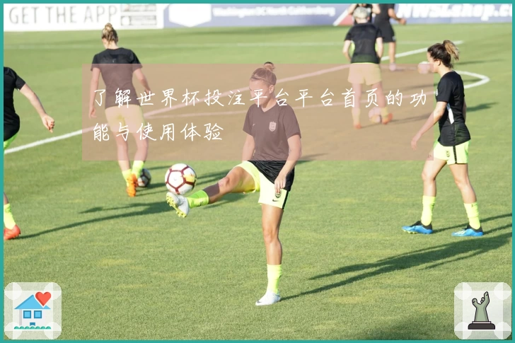 了解世界杯投注平台平台首页的功能与使用体验