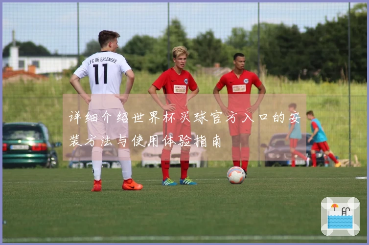 详细介绍世界杯买球官方入口的安装方法与使用体验指南